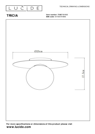 Накладные светильники — Накладной светильник LUCIDE 79187/01/02 купить в 