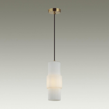 Подвесные светильники — Подвесной светильник Odeon Light 5020/1 купить в 