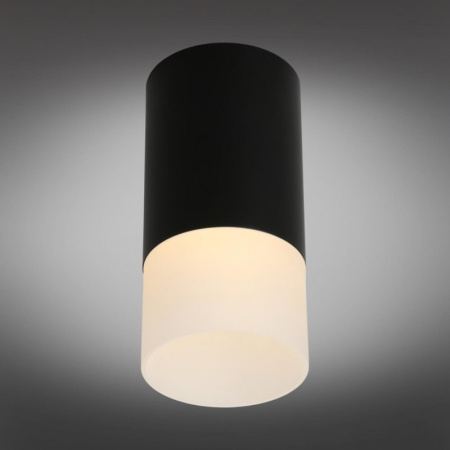 Накладные точечные светильники — Накладной светильник Omnilux OML-100619-01 купить в 