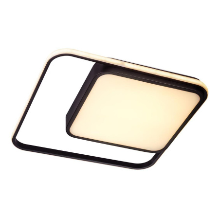 Потолочные светильники — Потолочный светодиодный светильник Escada 10210/2LED купить в  Потолочные светильники — Потолочный светодиодный светильник Escada 10210/2LED купить в