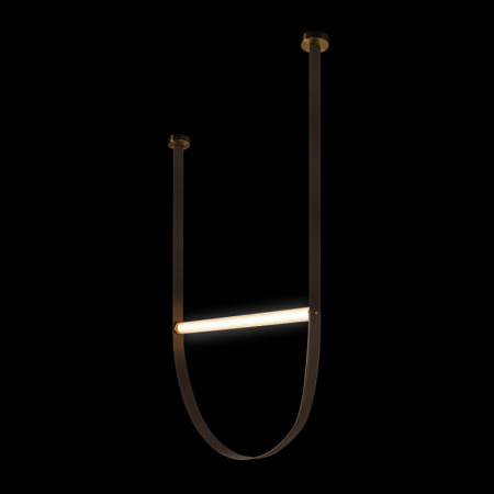 Подвесные светильники — Подвесной светильник LOFT IT 10221/1250 купить в 