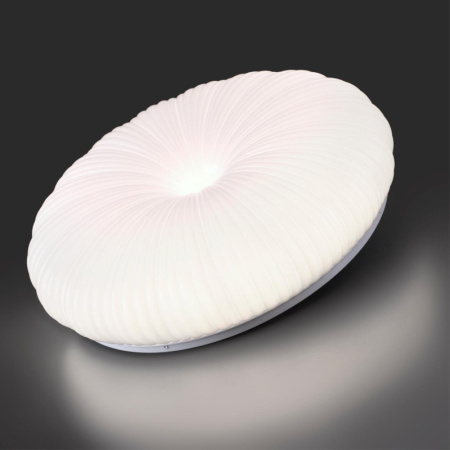 Накладные светильники — Накладной светильник Sonex 7678/FL купить в  Накладные светильники — Накладной светильник Sonex 7678/FL купить в