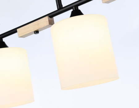 Накладные светильники — Накладной светильник Ambrella Light TR9551 купить в 