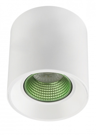 Накладные точечные светильники — Накладной светильник Denkirs DK3090-WH+GR купить в 