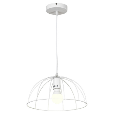 Подвесные светильники — Подвесной светильник Lussole LSP-8214 купить в 