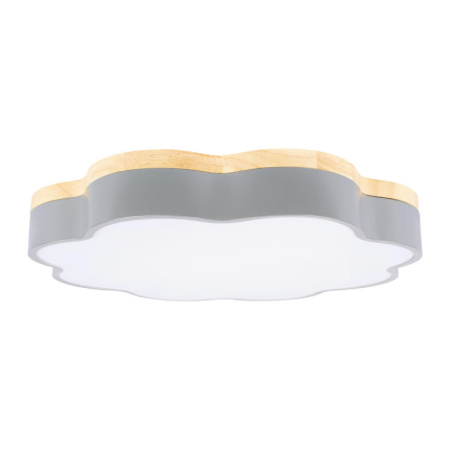 Накладные светильники — Накладной светильник LOFT IT 10225/36 Grey купить в 