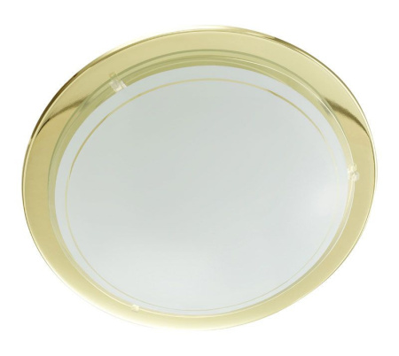 Накладные светильники — Накладной светильник EGLO 83157 купить в 