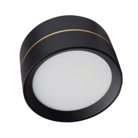 Влагозащищенные точечные светильники — Влагозащищенный светильник LeDron BARREL Black купить в  Влагозащищенные точечные светильники — Влагозащищенный светильник LeDron BARREL Black купить в