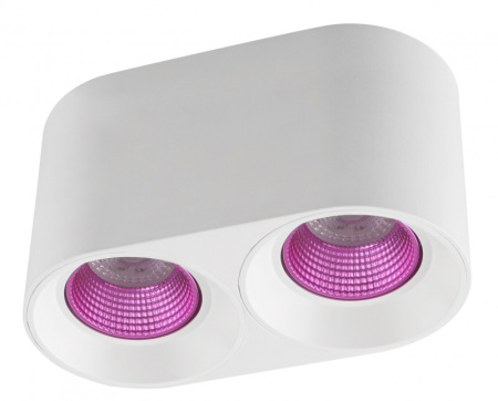 Накладные точечные светильники — Накладной светильник Denkirs DK3096-WH+PI купить в 