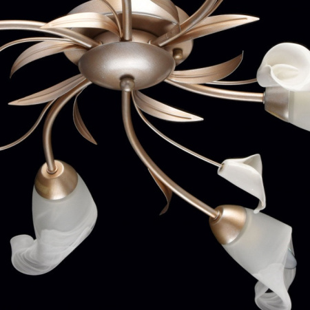 Люстры накладные — Накладная люстра MW-Light 242016306 купить в  Люстры накладные — Накладная люстра MW-Light 242016306 купить в