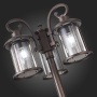 Высокие уличные фонари — Садово-парковый светильник ST-Luce SL080.425.03 купить в 