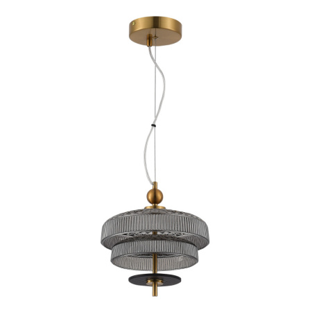 Подвесные светильники — Подвесной светильник ST-Luce SL6122.303.01 купить в 