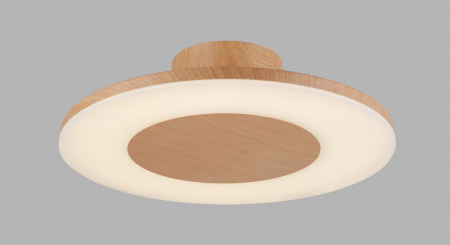 Накладные светильники — Накладной светильник Mantra 4494 купить в 