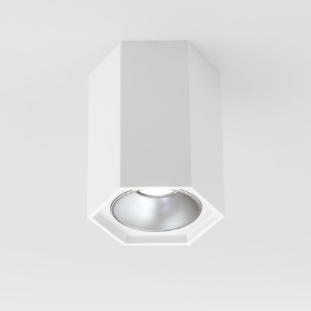 Накладные точечные светильники — Накладной светильник Elektrostandard 25036/LED 7W 4200K белый матовый/серебро купить в 