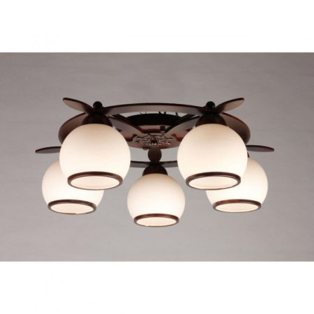 Люстры накладные — Накладная люстра Omnilux OML-50507-05 купить в 