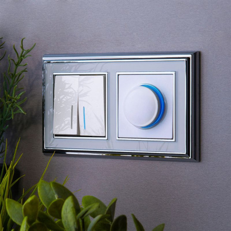 Диммеры — Диммеры Werkel W1142101 купить в 