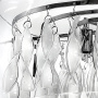Люстры подвесные — Подвесная люстра Lightstar 752084 купить в  Люстры подвесные — Подвесная люстра Lightstar 752084 купить в