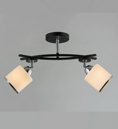 Потолочные люстры — 2729/2 анти-хром купить в 