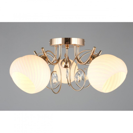 Люстры накладные — Накладная люстра Omnilux OML-25207-05 купить в 