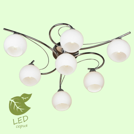 Люстры накладные — Накладная люстра Lussole GRLSP-8036 купить в  Люстры накладные — Накладная люстра Lussole GRLSP-8036 купить в