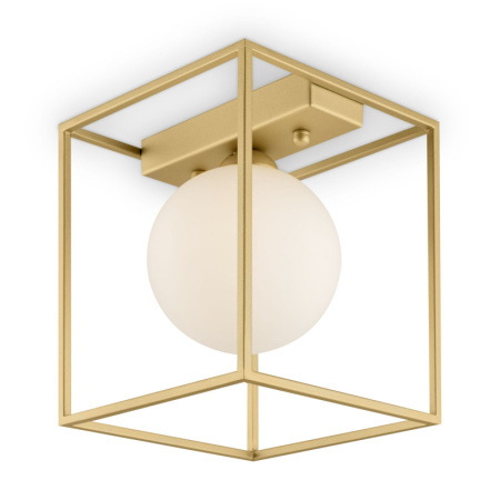 Накладные светильники — Накладной светильник Freya FR5113CL-01G купить в 