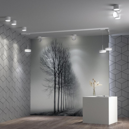 Накладные точечные светильники — Накладной светильник Novotech 358749 купить в 