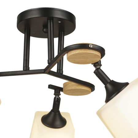 Потолочные люстры — Потолочная люстра Seven Fires Ivetta 66582.01.14.03 купить в  Потолочные люстры — Потолочная люстра Seven Fires Ivetta 66582.01.14.03 купить в