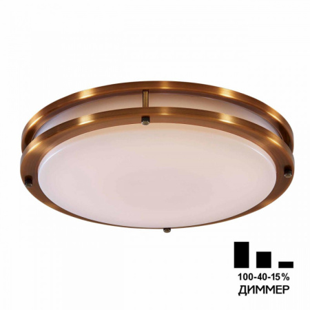 Накладные светильники — Накладной светильник Citilux CL709503N купить в 