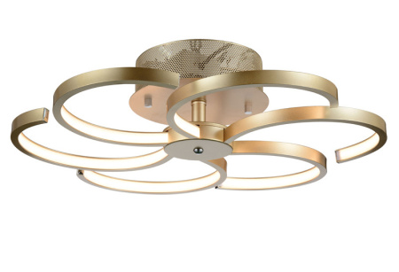 Люстры накладные — Накладная люстра ST-Luce SL906.203.06 купить в 