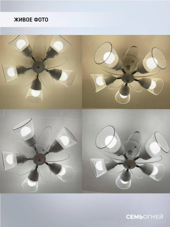 Люстры на штанге — Потолочная люстра Seven Fires Berat WD3525/5C-WT-CR-WT купить в 