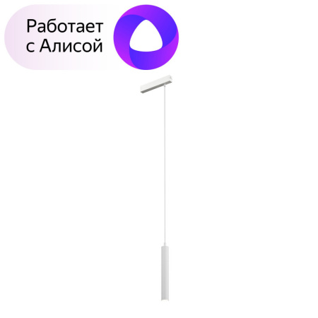 Трековые светильники — Светильник на шине Denkirs DK8008-WH купить в  Трековые светильники — Светильник на шине Denkirs DK8008-WH купить в