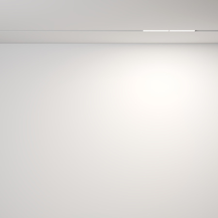 Трековые светильники — Светильник на шине Maytoni Technical TR106-2-12W4K-W купить в 