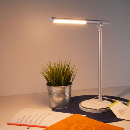 Настольные лампы — Настольная лампа Elektrostandard Vara серебро (TL70990) купить в 