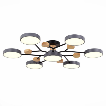 Люстры на штанге — Люстра на штанге Evoluce SLE6006-702-07 купить в 