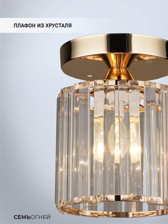 Потолочные светильники — Потолочный светильник Seven Fires Lorink WD3520/1C-FGD-CL купить в  Потолочные светильники — Потолочный светильник Seven Fires Lorink WD3520/1C-FGD-CL купить в