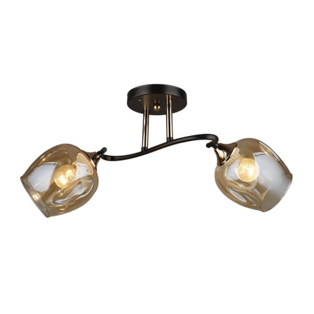 Потолочные люстры — Потолочная люстра Seven Fires Сайл 66133.01.69.02 купить в 