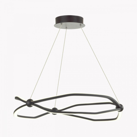 Люстры подвесные — Подвесная люстра Odeon Light 5000/45L купить в 