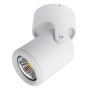 Споты — Спот ARTE Lamp A3316PL-1WH купить в  Споты — Спот ARTE Lamp A3316PL-1WH купить в