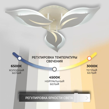 Потолочные люстры — Потолочная люстра Seven Fires Omenya 75391.01.09.03 купить в 