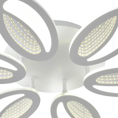 Потолочные люстры — Потолочная светодиодная люстра Seven Fires Belvi SF7039/6C-WT купить в  Потолочные люстры — Потолочная светодиодная люстра Seven Fires Belvi SF7039/6C-WT купить в