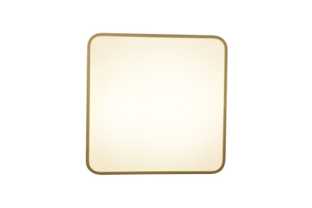 Накладные светильники — Накладной светильник Zortes ZRS.1215.03 купить в  Накладные светильники — Накладной светильник Zortes ZRS.1215.03 купить в