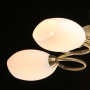 Люстры накладные — Накладная люстра MW-Light 267011805 купить в  Люстры накладные — Накладная люстра MW-Light 267011805 купить в