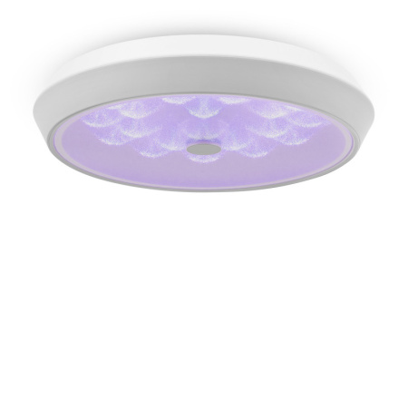 Накладные светильники — Накладной светильник Freya FR10012CL-L24W купить в 