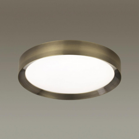 Накладные светильники — Накладной светильник Odeon Light 4948/45CL купить в 