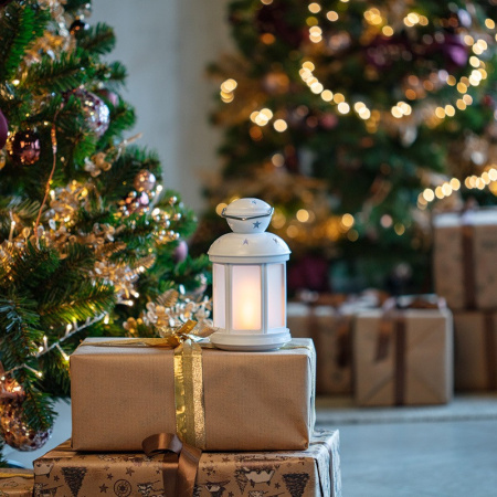 Декоративные светильники — Декоративный светильник Neon-Night 513-067 купить в 