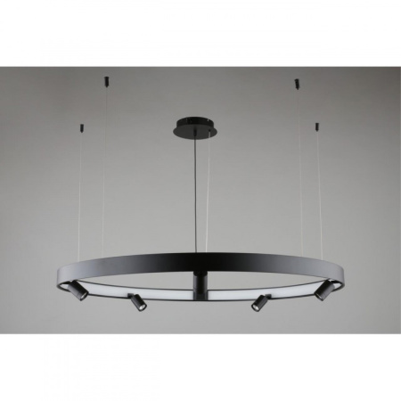 Люстры подвесные — Подвесная люстра APLOYT APL.041.13.75 купить в 