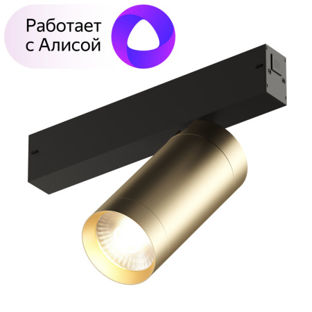 Трековые светильники — Светильник на шине Denkirs DK8020-BG купить в  Трековые светильники — Светильник на шине Denkirs DK8020-BG купить в