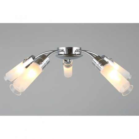 Люстры накладные — Накладная люстра Omnilux OML-28707-05 купить в 