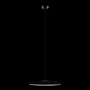 Подвесные светильники — Подвесной светильник LOFT IT 10119 Black купить в 