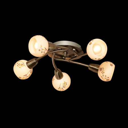 Люстры накладные — Накладная люстра Citilux CL520153 купить в 